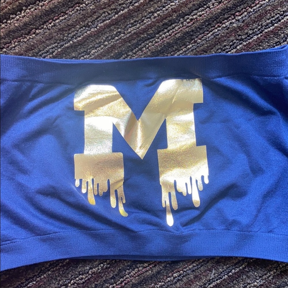 University of Michigan Bandeau Top